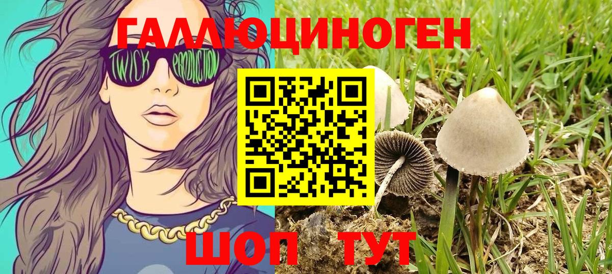 Псилоцибиновые грибы GOLDEN TEACHER  Вход с VPN  Псилоцибиновые грибы мухоморы  Минеральные Воды 